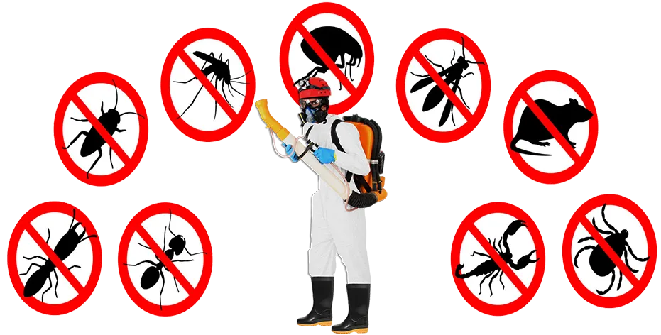 Controle de Praga na Saúde